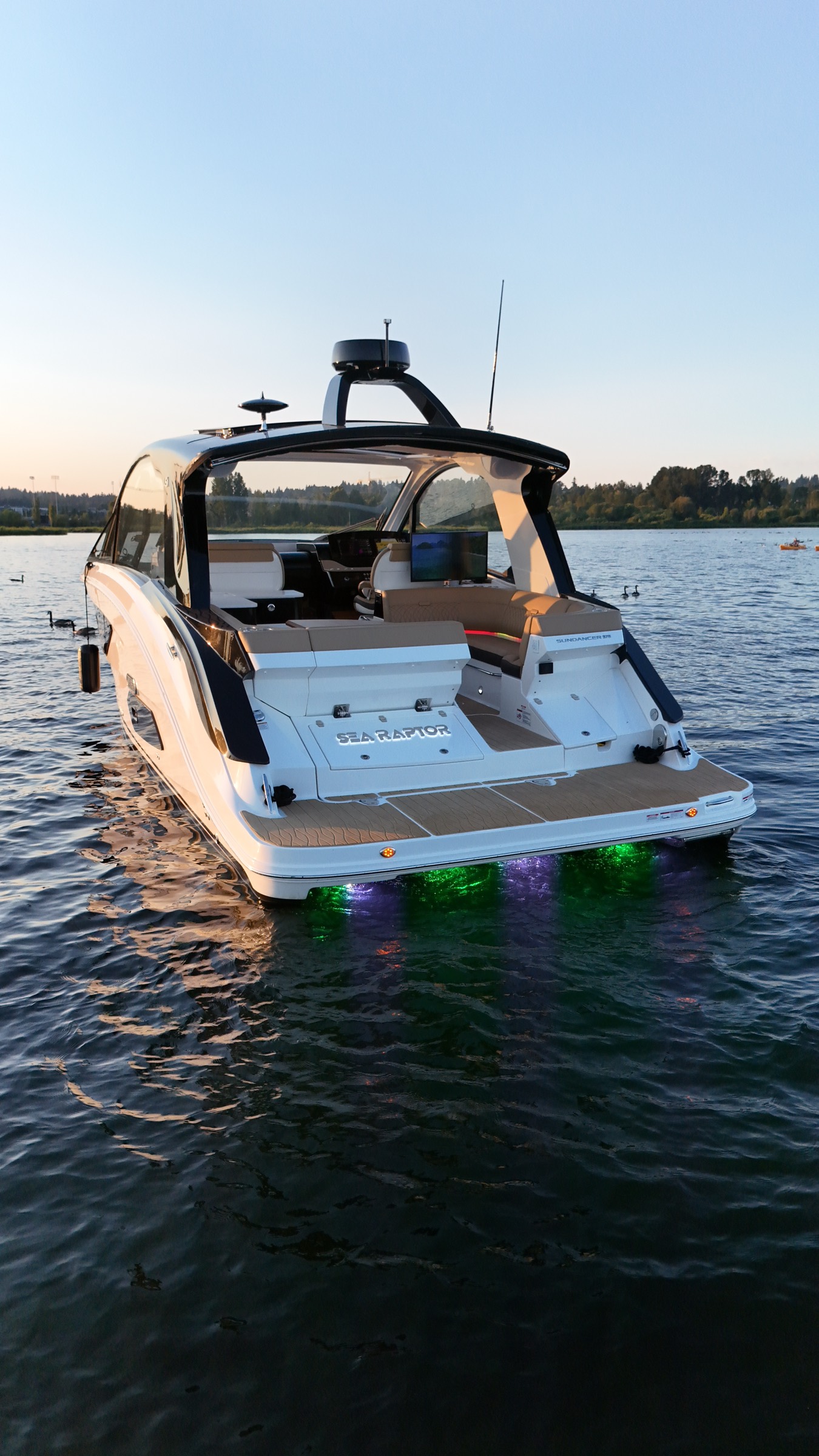 Sea Raptor at dusk with green and purple underwater lights glowing